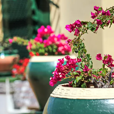 아파트호텔 Barranco Chic! By Alegria 플라야데라스아메리카스