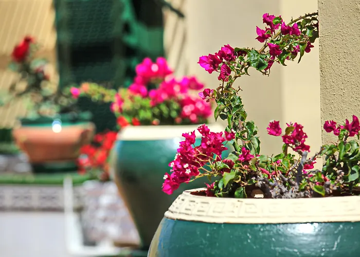 Ξενοδοχείο με διαμερίσματα Barranco Chic! By Alegria Πλάγια ντε λας Αμέρικας